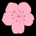 A片网APP应用